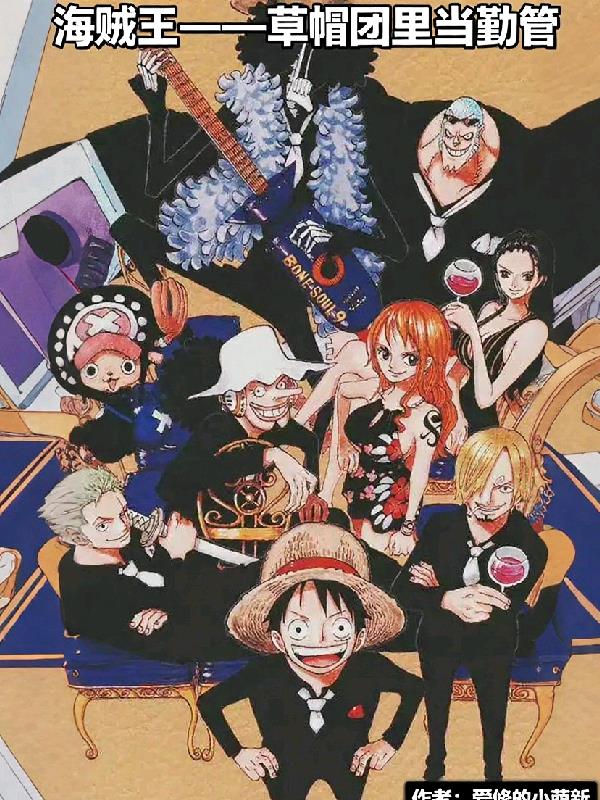 海贼王：草帽团里当勤管