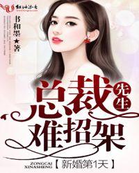 新婚第1天，总裁先生难招架