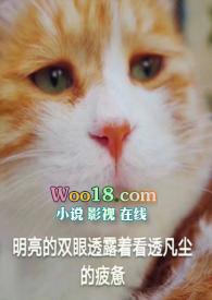 未婚先孕不允许（校园 SC）