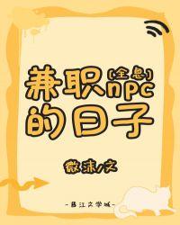 兼职c的日子[全息]