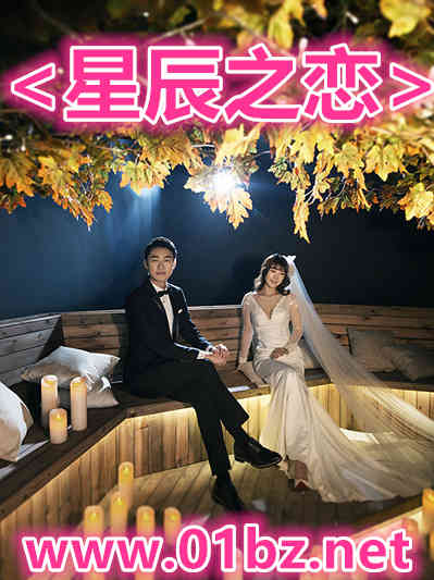 星辰之恋h