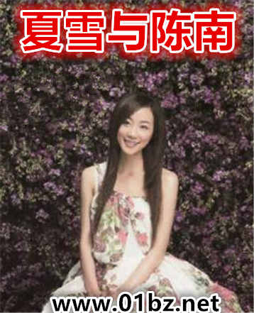夏雪与陈南