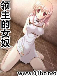 领主的女奴
