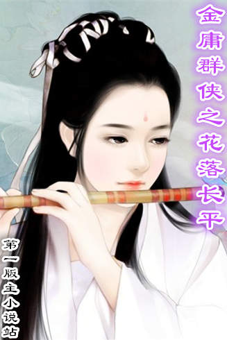 金庸群侠之花落长平